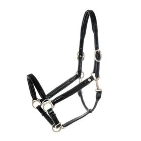 Isabell Werth Leder Halfter Satchmo in schwarz