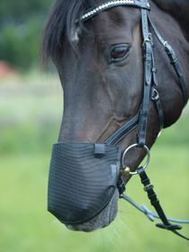 Busse Nüsternschutz FLY Professional Anatomic