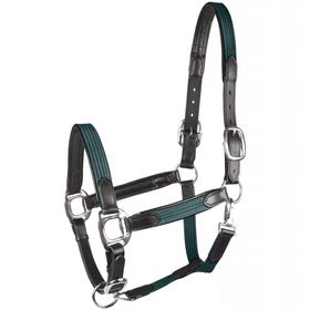 Waldhausen Star Halfter Mix in tannengrün/schwarz