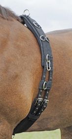 Busse Longiergurt PROFI-SOFT