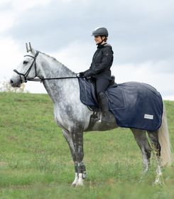 Waldhausen Fliegenausreitdecke in nachtblau