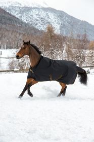 Bucas Irish Turnout Extra High Neck in Black-Gold