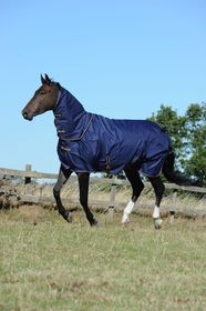 Bucas Irish Combi Neck in in Navy-Gold