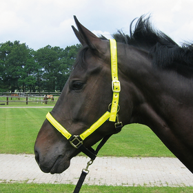 Busse Halfter Reflektion Neon Gelb