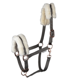 Waldhausen Halfter Modern Rose in Khaki 