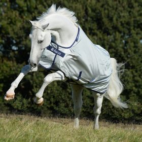 Bucas Power Turnout Weidedecke Medium in Silver