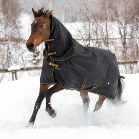 Bucas Irish Combi Neck in in black-gold