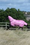 Bucas Freedom Fly Sheet in Spicy Pink F/N