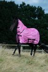 Bucas Freedom Fly Sheet in Spicy Pink F/N