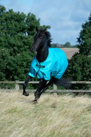 Bucas Freedom Turnout light in Sweet blue
