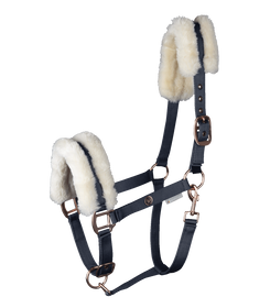 Waldhausen Halfter Modern Rose in nachtblau