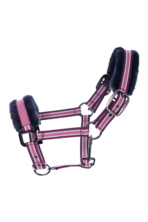 Cavallo Halfter HELIA in dark raspberry