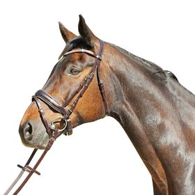 Euroriding Trense Versailles schwedisches Reithalfter mit Lack