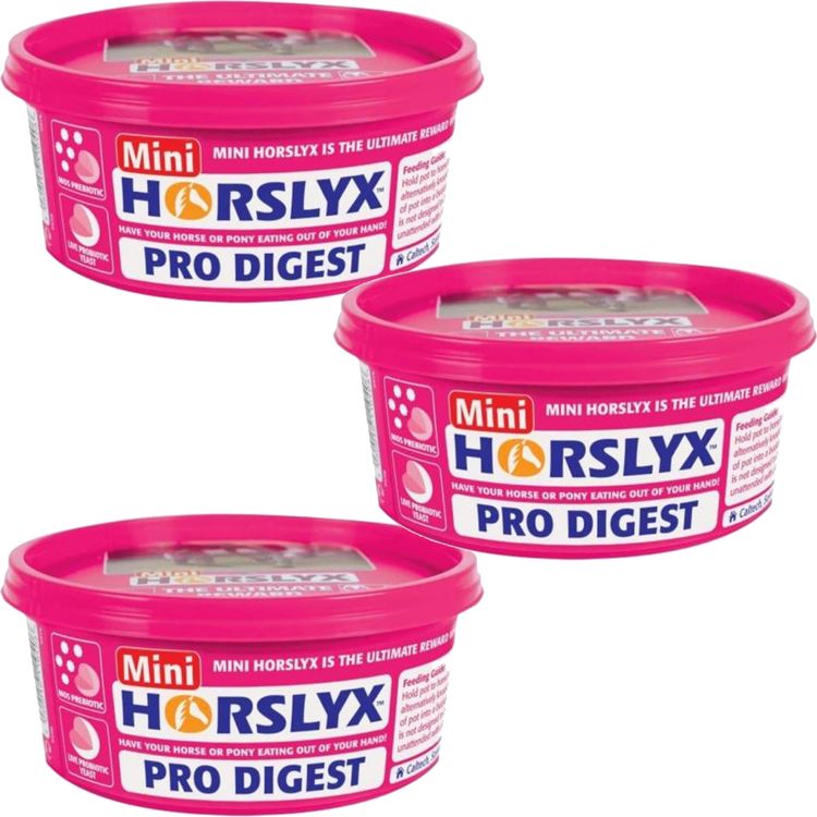 Derby Leckmasse Horslyx Pro Digest - 3er Pack a 650g