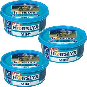 Derby Leckmasse Horslyx mint - 3er Pack a 650g