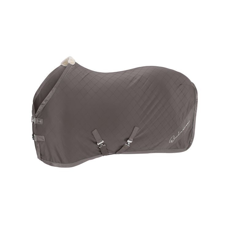 Eskadron Abschwitzdecke Aerial Jersey in fossil