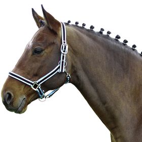 Euroriding Comfort Halfter Nylon in schwarz-weiß-blau