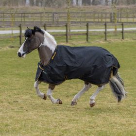 Bucas Irish Turnout Big Neck Decke 50g. in black-gold