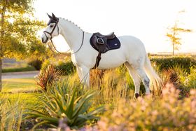 LeMieux Springschabracke Loire Classic Satin Square in Navy