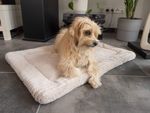 TrendPet Hundedecke Harmony in Beige