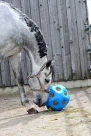 Kerbl Heuboy Futterspielball in Pink