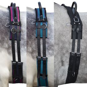 Longiergurt -Canvas- mit Doppelgriff