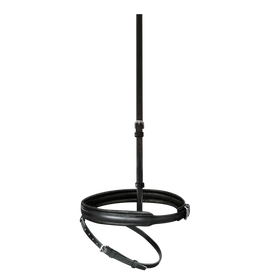 Passier Reithalfter englich kombiniert für Trense Juno