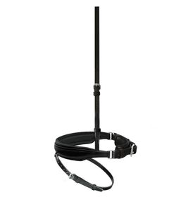 Passier  schwedisches Reithalfter Spezial für Trense Juno 