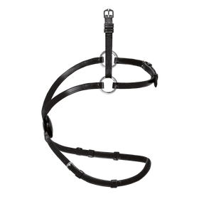 PASSIER Reithalfter Mexikanischer Wechselnasenriemen