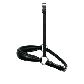 PASSIER Reithalfter Hannoverscher Wechselnasenriemen