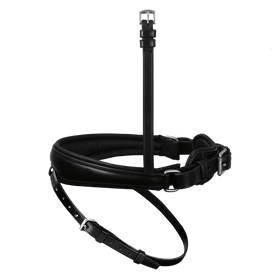 PASSIER anatomischer Wechselnasenriemen Reithalfter Spezial (schwedisch) mit unterfütterter Sperrriemenöse