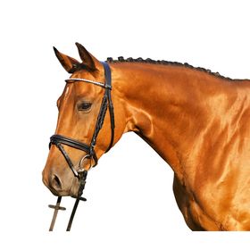 Euroriding Trense Royan, englisches Reithalfter Diamonds