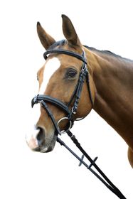 Euroriding Trense Denver, englisches Reithalfter, Natural Line