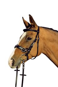 Euroriding Trensen Kappzaum Leder Atlanta, Natural Line