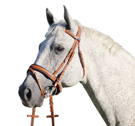 Euroriding Trense Southport, schwedisches Reithalfter, British Line