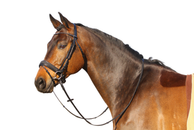 Euroriding Trense Black Sensation, schwedisches Reithalfter, British Line