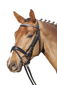 Euroriding Trense London, schwedisches Reithalfter, British Line