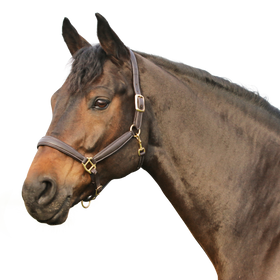 Euroriding Halfter Oakland, Super Soft, Natural Line