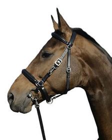 Euroriding Trense Halfter Kombi Biron, Euro-Club