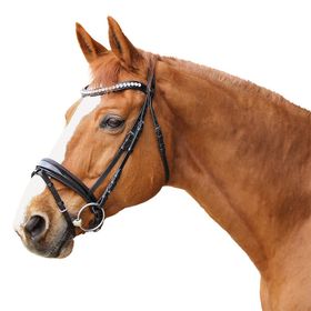 Euroriding Trense Barfleur, schwedisches Reithalfter, ohne Zügel, Euro-Club