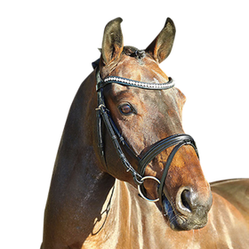 Euroriding Trense La Rochelle englisches RH EC ohne Zügel