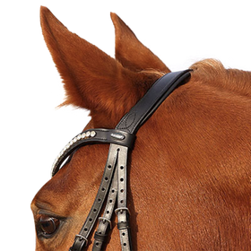 Euroriding Trense La Rochelle hannoversches RH EC ohne Zügel