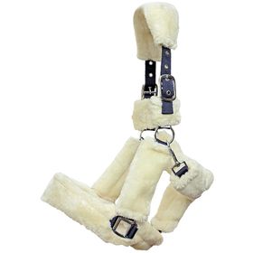 Euroriding Halfter Fluffy