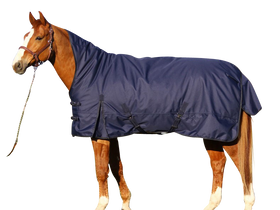 Euroriding Outdoor Decke Kodiak, High Neck, 200 Gramm Füllung