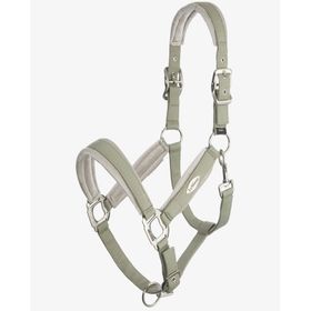 LeMieux Halfter Versailles in fern