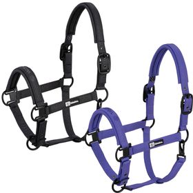Eskadron Dynamic Halfter Sparkle Double Pin