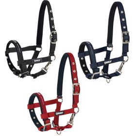 Eskadron New Basic Fohlenhalfter, 3 fach Dornschnalle