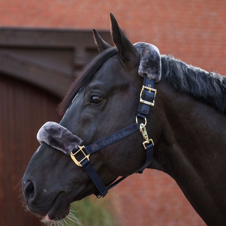 Bucas Show-Line Halfter in navy/grey