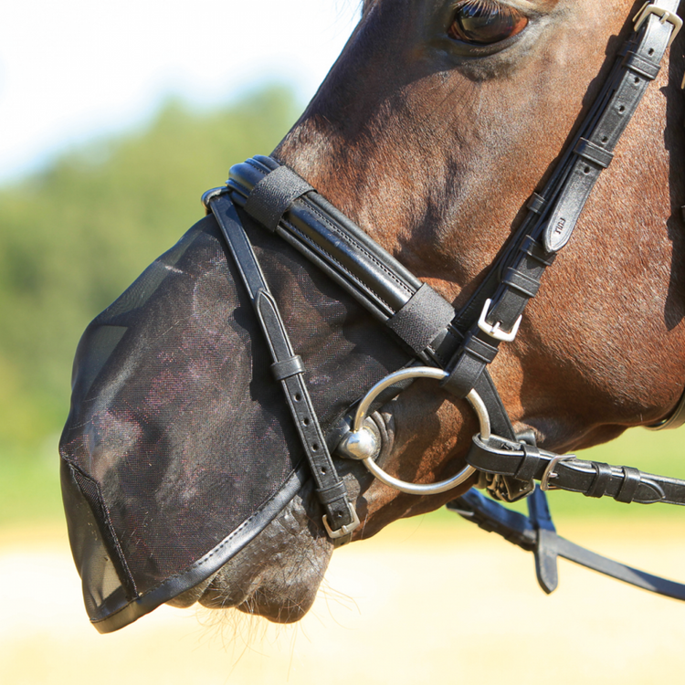 Busse Nüsternschutz FLY Protector