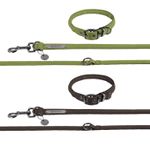 Eskadron Platinum Hundeset Leine/Halsband 